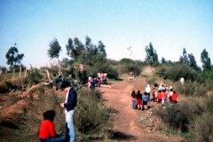 Imagen-del-mes-de-Julio-de-1983.-La-aparición-se-ha-iniciado-hace-sólo-algunos-días.