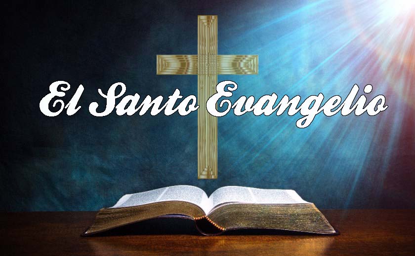 Evangelio del Día